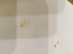 必胜客(瑞虹店)-必胜客(瑞虹店)