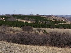 -御道口草原森林风景区-游客咨询处