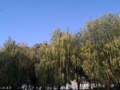 -南昌青山湖风景区