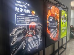 -河南自然博物馆