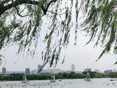 -济南大明湖景区