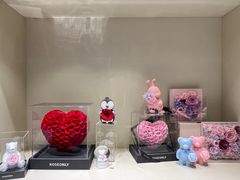 -ROSEONLY诺誓(磐基中心店)