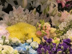 -吴山花鸟城-停车场