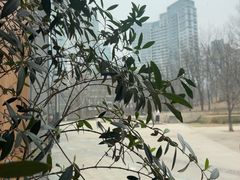 -安妮意大利餐厅(世贸天阶店)
