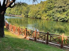 -白马涧龙池景区