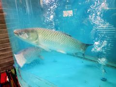 -红日饭店(裕隆三路店)