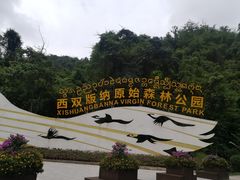 -西双版纳原始森林公园