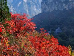 -青龙山生态文化旅游区(慈云寺)