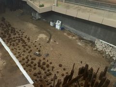 -元代水闸遗址博物馆