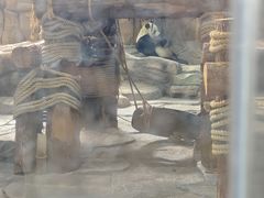 -泉州海丝野生动物世界