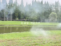 -黄海国家森林公园