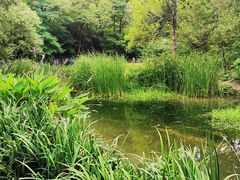 -白水寺森林公园