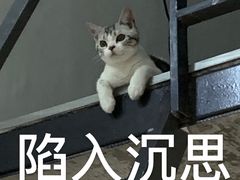 -袖虎·猫馆(体育西路店)