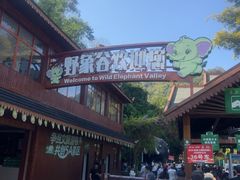 -野象谷景区