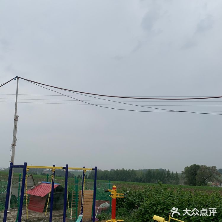 又到了采摘菜类的季节 为了食品安全 今年选择了小溪菜