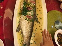 -福记大酒店(星湖街区店)