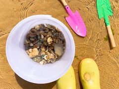 -东戴河风景区-止锚湾