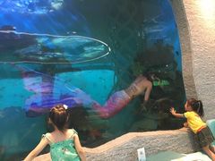 -瑞德姆美人鱼海底演艺主题餐厅(亚龙湾店)