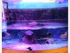 -沈阳海洋探索中心