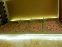 包房-热带雨林汗蒸馆(汶水东路店)