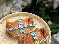 -丫丫蟹庄·苏式园林农家乐·阳澄湖大闸蟹(阳澄湖莲花岛店)