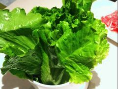 生菜-古乐牛香·鲜牛肉牛杂火锅(新区店)