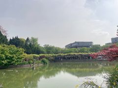 -嘉定紫藤园