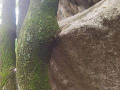 -秦岭终南山世界地质公园翠华山景区