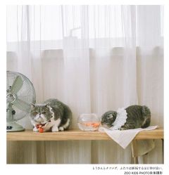 -ZOO KIDS象集摄影工作室(西城公馆店)