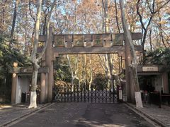 -灵谷景区