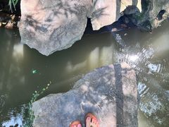 -汇龙潭