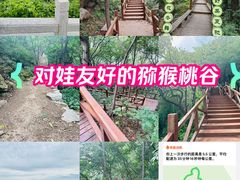 -大岭沟猕猴桃谷风景区