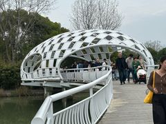 -同里国家湿地公园