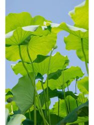 -Oasis Beauty水磨坊科技美肤中心