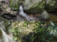 -牛背梁国家森林公园