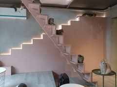 -猫儿山۰猫主题餐厅