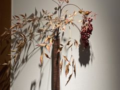 -朵朵开素食餐厅(后宰门街店)