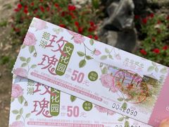 -鹅湖玫瑰文化园