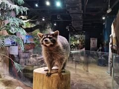 -正佳雨林生态植物园