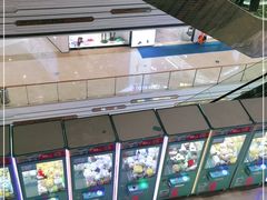 -万达广场(宁德蕉城店)