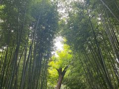 -四门塔风景区