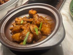 窝烧石斑鱼腩-陶陶居·雅园(凯华国际店)