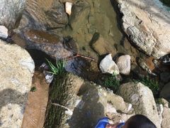 -浙北大峡谷
