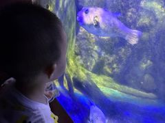 -太平洋海底世界