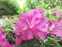 -徐家汇源景区-衡山公园