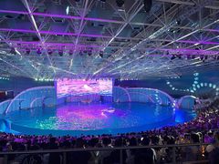 -海合安青岛极地海洋公园