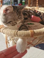 -萌宠亲子动物乐园(槐房万达店)