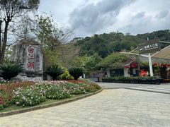 -广州白江湖森林公园