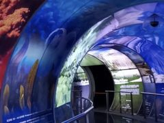 -房山世界地质公园博物馆