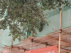 -陈麻婆豆腐(旗舰店)